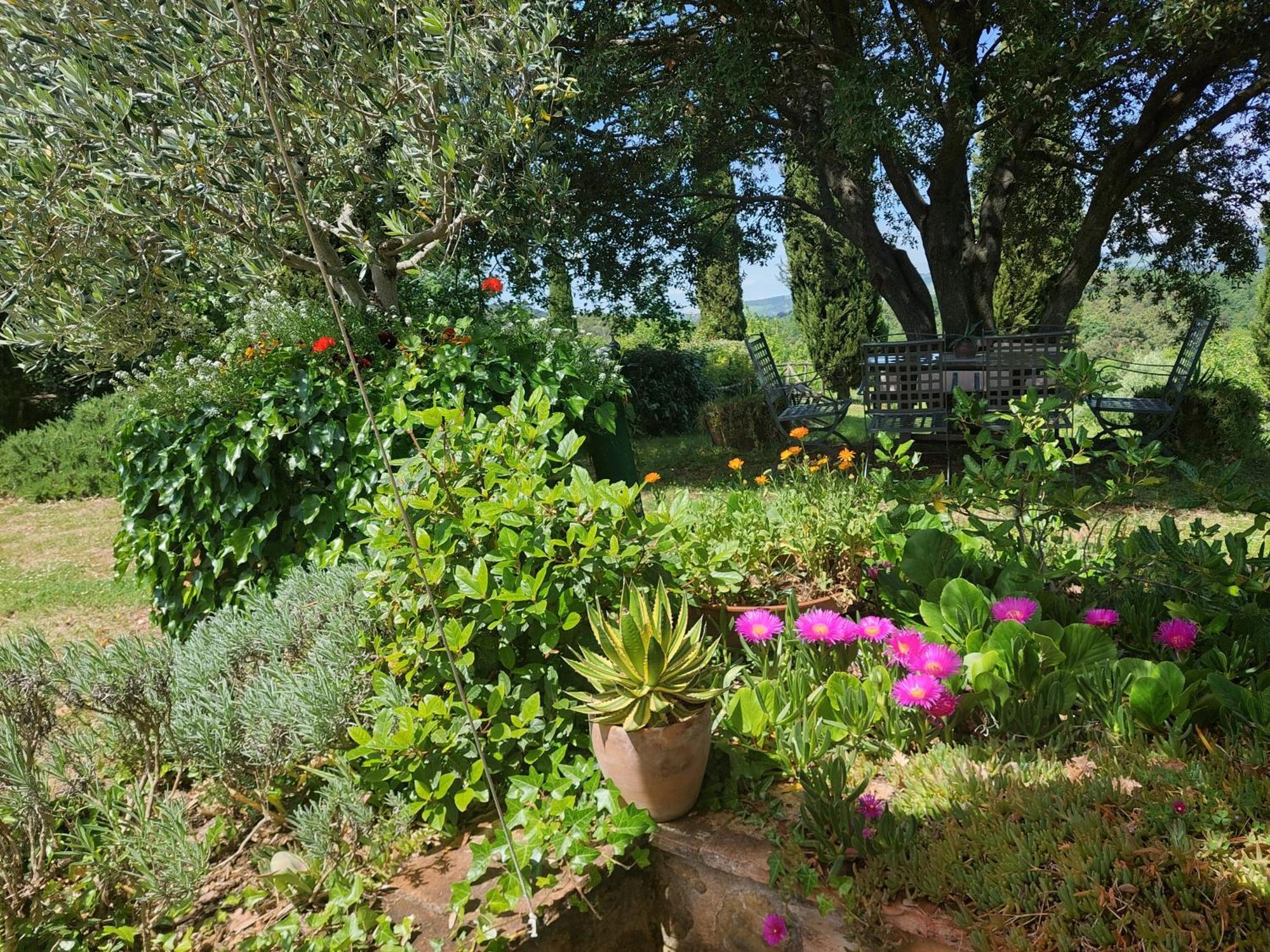 Podere Cerreto Casole d'Elsa Bagian luar foto