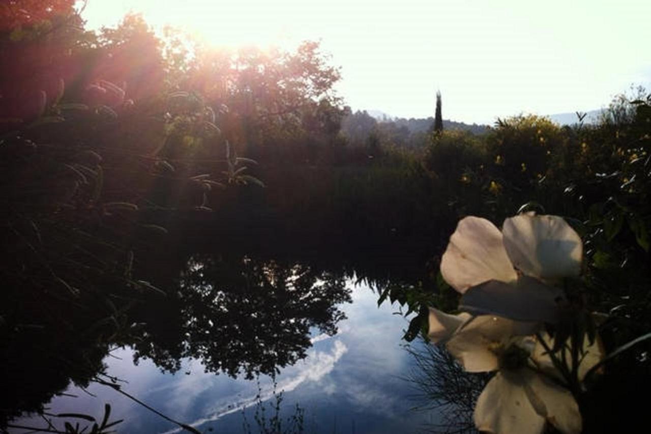 Podere Cerreto Casole d'Elsa Bagian luar foto