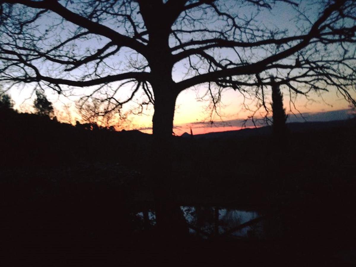 Podere Cerreto Casole d'Elsa Bagian luar foto